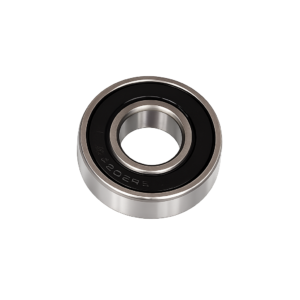 Bearing 6004